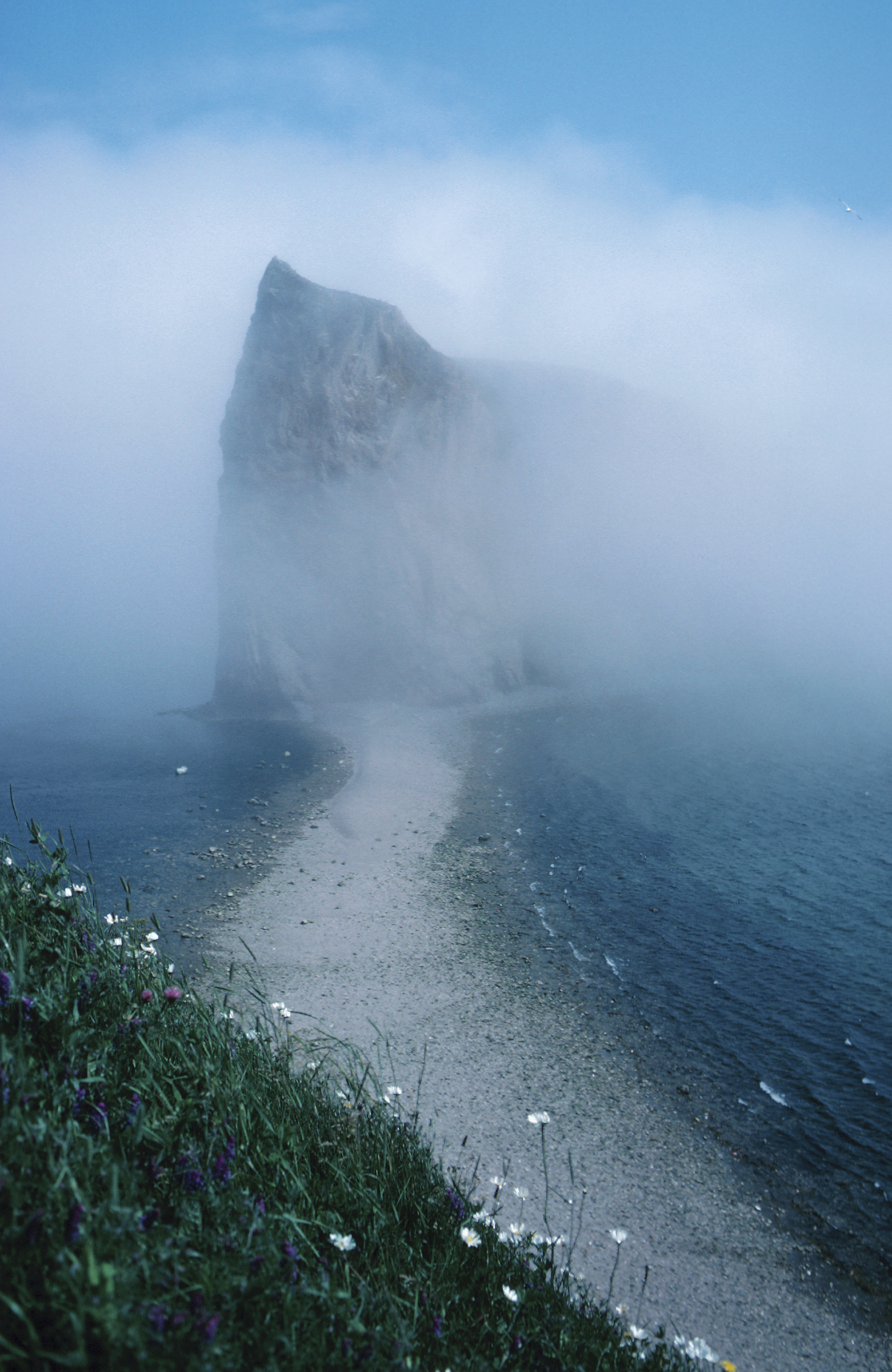 TerriandDottie.jpg - 48396 Bytes