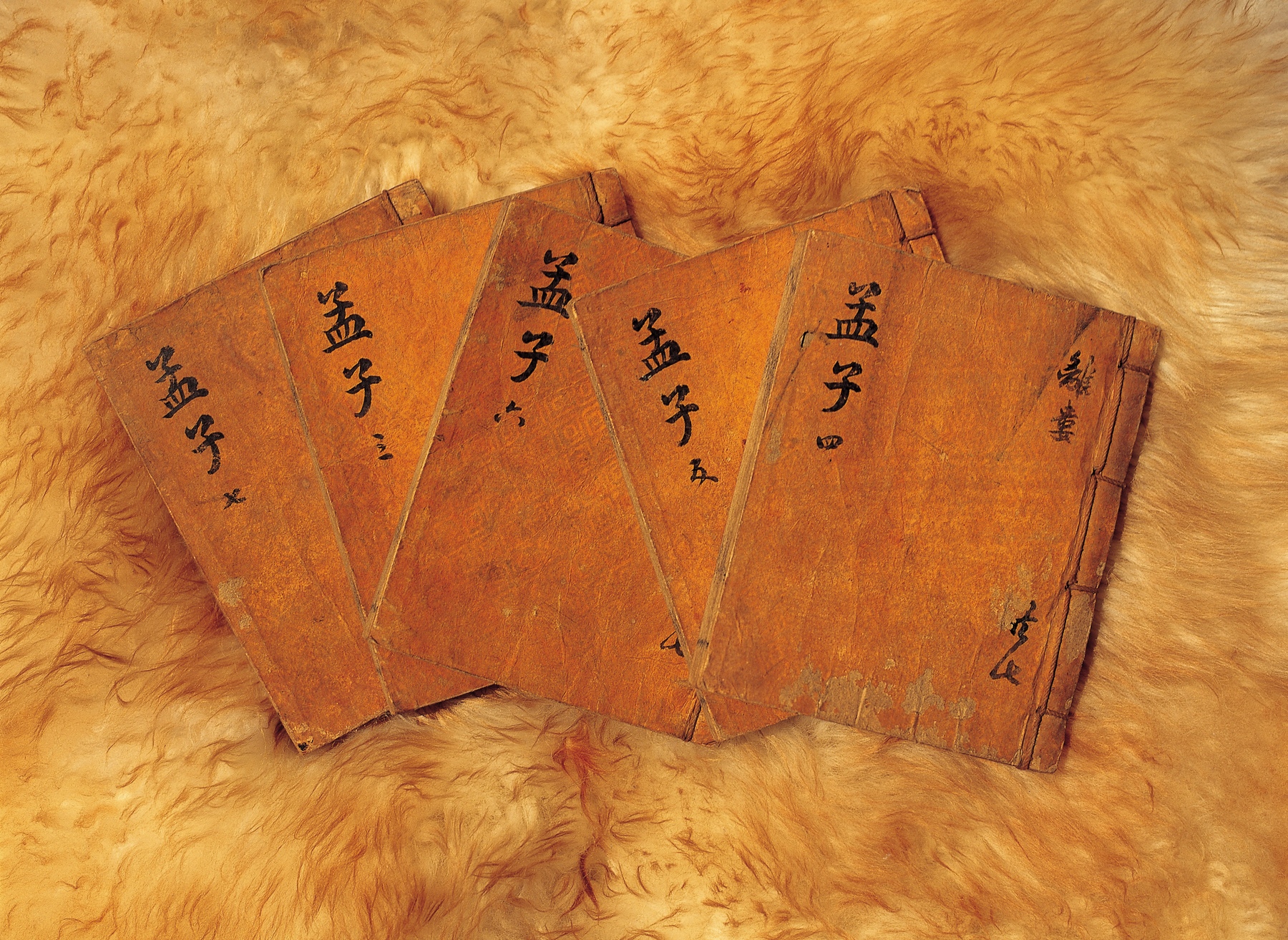 newphoto - 48396 Bytes